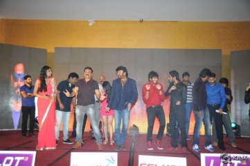 Gaddam Gang Movie Audio Launch